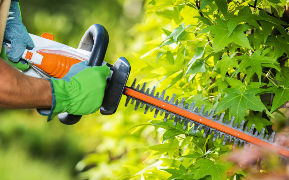 rodriguez lawn masters 2