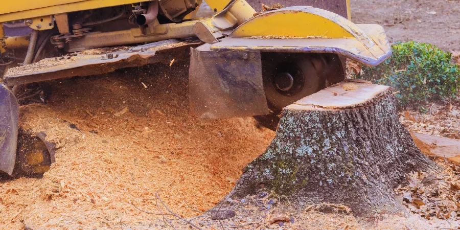 Lawn Maintenance Services stump removal